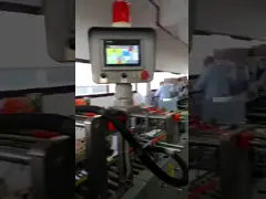 180-350mm Sheet Fed Paper Bag Machine Automatic 50-60pcs/Min WFD-350