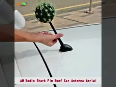 OEM AM/FM Signal Decoration Car TV Antenna Car Roof Shark Fin Antenna 0-1dBi