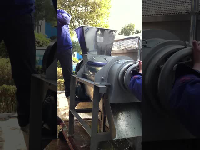 Технологическая линия сока имбиря машины извлечения сока имбиря нержавеющей стали сырцовая видео