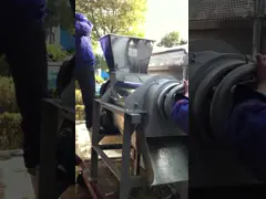 Технологическая линия сока имбиря машины извлечения сока имбиря нержавеющей стали сырцовая video