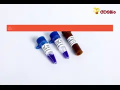 Нуклеиновый электрофорез отметки ДНК кислотных красителей для спаривать LD DS 2000 LM1101 LM1102 video