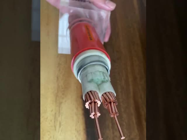 PVC Jacket Armoured Electrical Cable Steel Wire 90 Degree N2XY XLPE Insulation