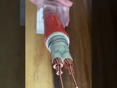 Изоляция степени Н2СИ СЛПЭ стального провода 90 электрического кабеля куртки ПВК бронированная video