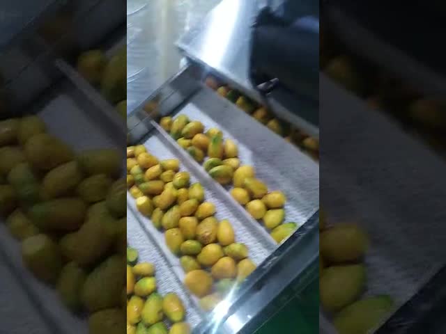 Mango Pulper Destoner Machine Date Tomatoes Cherry Plum Apricot Stone Removing Pulping Machine