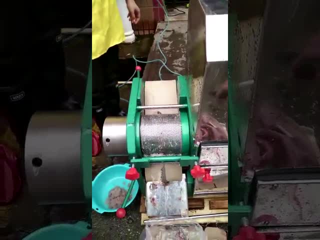 Разделитель мяса креветки Deboning пояс для автомата для резки мяса рыб косточки видео