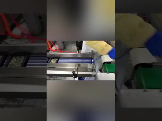 ふたの食品等級PPのプラスチック皿が付いている260Mmの使い捨て可能なプラスチック皿