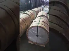 5052 Coated Aluminium Alloy Steel Coil 6061 T6 Roll O-H112 200mm