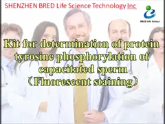 40T/Kit Sperm Function Test Kit For Determinate Protein Tyrosine Phosphorylation