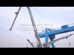 Кран постамента 1Т30М морской с заграждением костяшки для решения транспорта корабля video