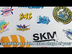 Изготовленный на заказ ПВК винила умирает печатание ярлыка логотипа стикера отрезка водоустойчивое УЛЬТРАФИОЛЕТОВОЕ напечатанное video