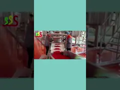 Оранжевая производственная линия пюра цитруса грейпфрута лимона для плода video