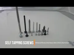 Собственная личность нержавеющей стали сверля TEK привинчивает винт собственной личности головы вафли выстукивая video