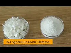 Чистое химикаты CAS 9012-76-4 продуктов порошка хитозана фармацевтические video