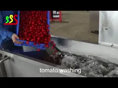 Небольшая технологическая линия 1t/H томатной пасты емкости или по мере необходимости video