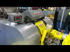 WFD-430 Fully Automatic Twisted Roll Fed Paper Bag With Handle Machine 40kw