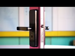 Бронзовые замки входа замка 5ВДК Туя умные электронные для дома video