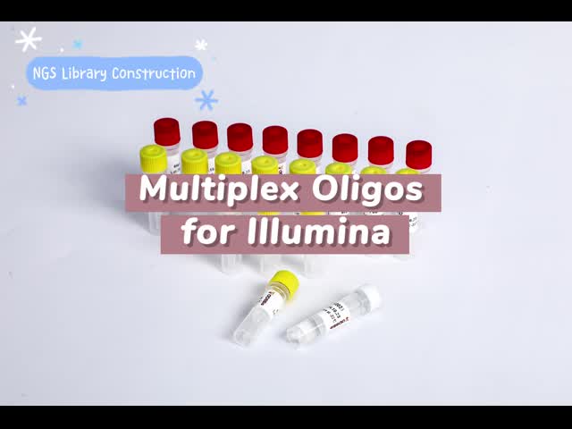 Primeiras demão universais Oligos multiplex 1 do PCR do adaptador para Illumina K002-A