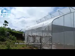Tropical Area Cooling Ventilation Control System Sawtooth Roof Multispan Poly Greenhouse video