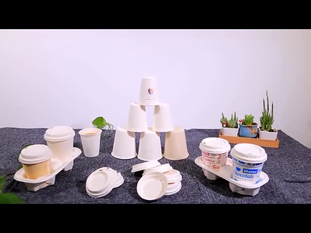 Hot Chocolate Biodegradable Sugarcane Bagasse Cup 8Oz Takeaway Coffee Cups With Lids