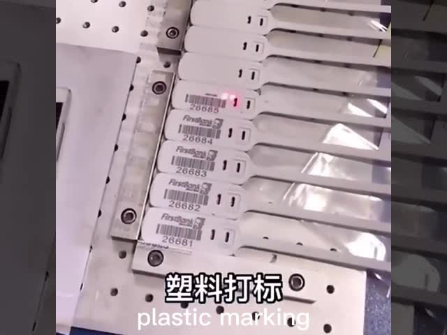 Умная гравировка кода машины 20W маркировки лазера волокна компьютера двухмерная видео