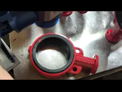 Bonded FKM Seat For Resilient Seated Butterfly Valves, DN25-DN600