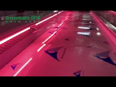 Счетчик дисплея морепродуктов оборудования рефрижерации мясника витрины мяса удаленной рекламы открытый передний video