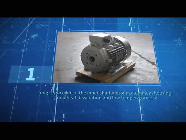 Диаметр полового вала Φ24 мм Половой вал 3-фазный двигатель с массой в ГВ 35 кг видео
