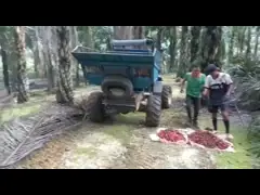 Открытый трактор кабины для плантаций пальмового масла со скоростью PTO 240-1340rpm и шиной для сельскохозяйственных машин video