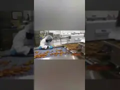 Машина Fryer SUS304 для линии небольшого хрустящего мяса картофельных чипсов непрерывной жаря video