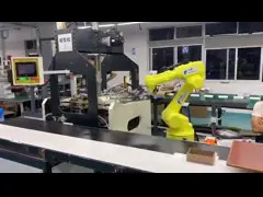 сердце подарочной коробки еды 4C CMYK упаковывая сформировало подарочную коробку с бумажным Inster Ribbion video