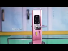 Беспроводная ручка передней двери Smart Lock ROHS Wifi Deadbolt дверной замок video