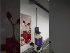 Монтажная плата печати главного правления принтера системы W5113 принтера доски печатающей головки головы 4720 BetterPrinter 2 струйная планшетная УЛЬТРАФИОЛЕТОВАЯ video