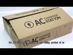 Over Temperature Protection Personal Use CCS2 Type 2 Wall Mounted EV Charger IP65 IK10