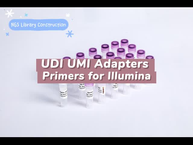 Primeiras demão dos adaptadores da construção UDI UMI da biblioteca de NGS para Illumina K003-A, K003-B, K003-C, K003-D