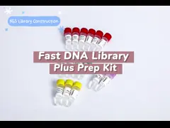 Illumina High Throughput Sequencing Platform NGS Library Construction Fast DNA Plus Prep Kit K004-A K004-B