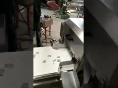 Filleting машина Slicer рыб резца обрабатывая и режа замороженное Hairtail video