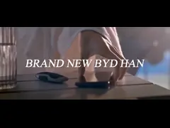 High Configuration BYD Han Electric Car EV 4 Door 5 Seat Sedan