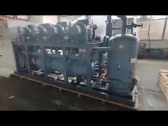 Unità di raffreddamento parallelo personalizzata da 4 CV a 5 CV con multicompressori