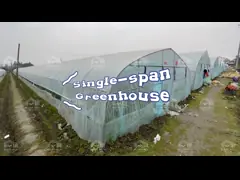 Верхние обручи фильма парника пяди зеленого дома обруча овоща окна вентиляции одиночные video