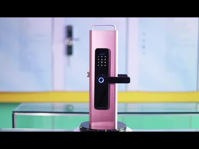 DC6V Tuyaのスマートなドア ロックはロゴのキーレス スマートなロックをカスタマイズした