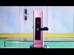 Замок отпечатка пальцев Tuya безопасностью биометрический совместимый для офиса квартир video