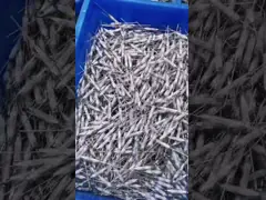 Большой ток DC500V сплавляет ESS аттестованное TUV сплавляет кучу EV поручая сплавляет поставщика video