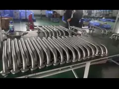 Пожилые люди беременной женщины Адвокатур самосхвата гандикапа нержавеющей стали Адвокатур самосхвата безопасности ливня video