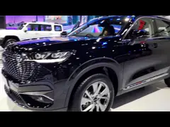 1.5T Compact EV SUV 110Km Plug In Hybrid 4 Wheels HAVAL H6 DHT PHEV