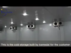 Customized commercial Walk In Blast Cold Room Freezer R404a or R22 For Frozen Fish