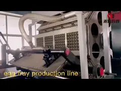 Тип производственная линия барабанчика подноса яйца прессформы пульпы машины подноса яйца video