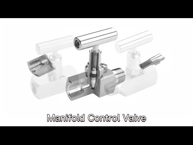 1/2 NPT めねじ SS316L ステンレス鋼ニードル バルブ 10000PSI オイルおよびガス