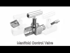 Шаровой клапан 2000ПСИ 3000ПСИ 5000ПСИ пластыря масла шарикового клапана/А216 ВКБ продетый нитку шариковый video