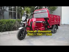 Груза колеса автомобилей неиндивидуального пользования 60V 3 Jinpeng трицикл электрического электрический video