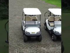 автомобиль гольфа батареи лития 105Ah привел 2 тележки в действие мест AC ИЛИ гольфа DC video